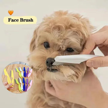 1/2pc Pet Hair Shedding Comb Stainless Steel Flea Comb for Cat Dog Pet Comfort Flea Hair Grooming Comb Dog Brush Grooming Tools - Buy online at  Vibe In Cart.
