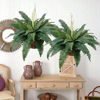 Realistic Boston Ferns 57cm/67cm Artificial Boston Fern Plants 38 Leaves UV Resistant Fake Ferns Greenery for Door Porch Decors - Buy online at  Vibe In Cart.