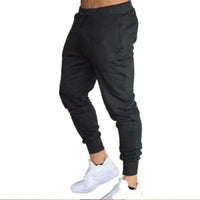 New Men’s Casual thin Sports Pants Running Workout Jogging Long Pants Gyms Sport Trousers for Men Fitness Jogger Sweatpants - Buy online at  Vibe In Cart.