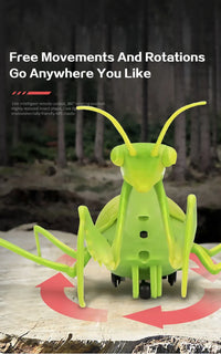 Infrared Remote Control Mini Mantis Insect Simulation Toy