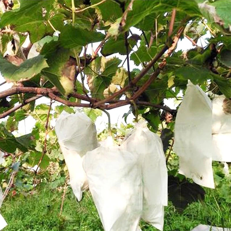 1/3Pcs Plant Covers Freeze Protection Non-woven Fabric Frost Cloth Plants Jacket Drawstring Tree Cover for Outdoor Plants - Buy online at  Vibe In Cart.