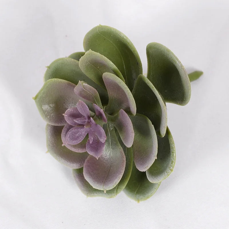 1Pcs Artificial Succulent Plants Green Plant Decorations Cactus Small Ornaments Indoor Office Potted Bonsai Garden Arrange Decor - Buy online at  Vibe In Cart.