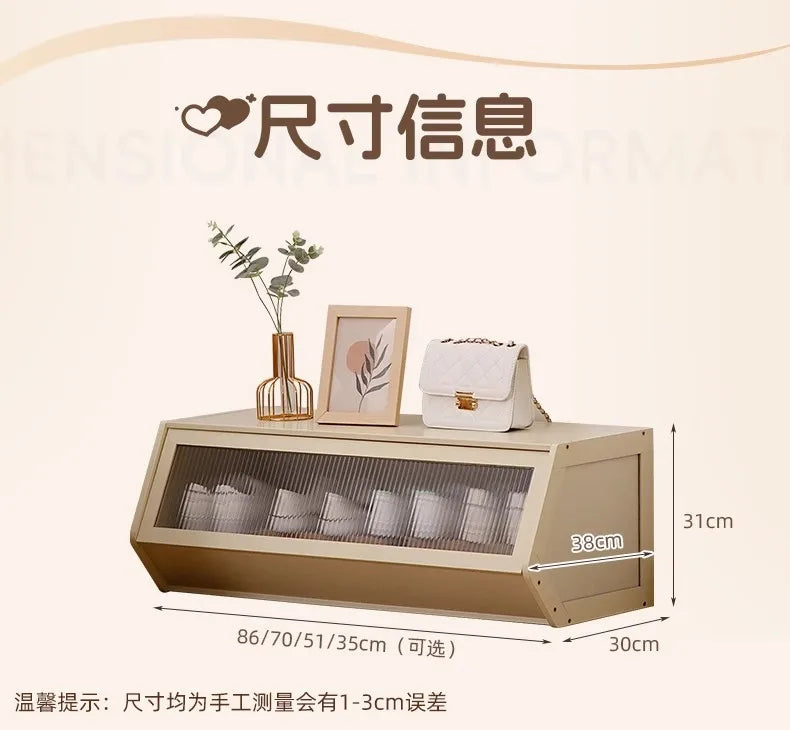 Multi-Layer Shoe Cabinet with Door for Dust-Proof Storage