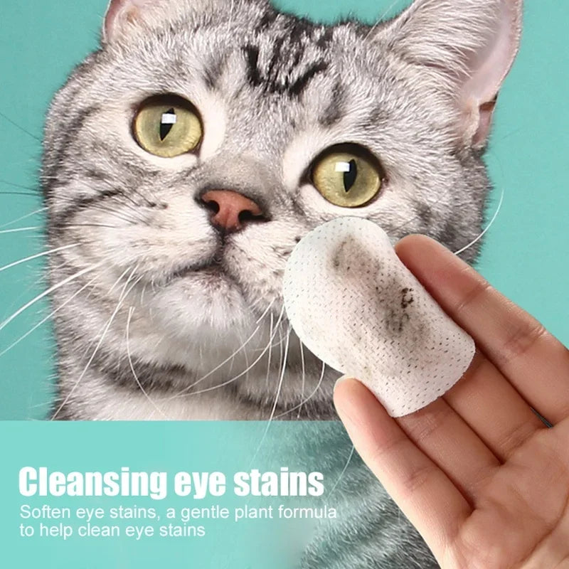 Pet Eye Wipes Cat and Dog Tearmark Wet Wipes Cat and Dog Universal No Irritation Cleaning Products 130 Pieces Wipes Pet Supplies - Buy online at  Vibe In Cart.