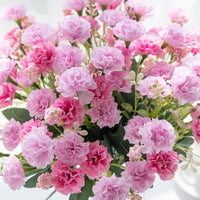 5 Forks 15 Heads Artificial Flowers Small Carnation Festival Wreath Accessories Home Living Room Table Bonsai Wedding Decoration - Buy online at  Vibe In Cart.