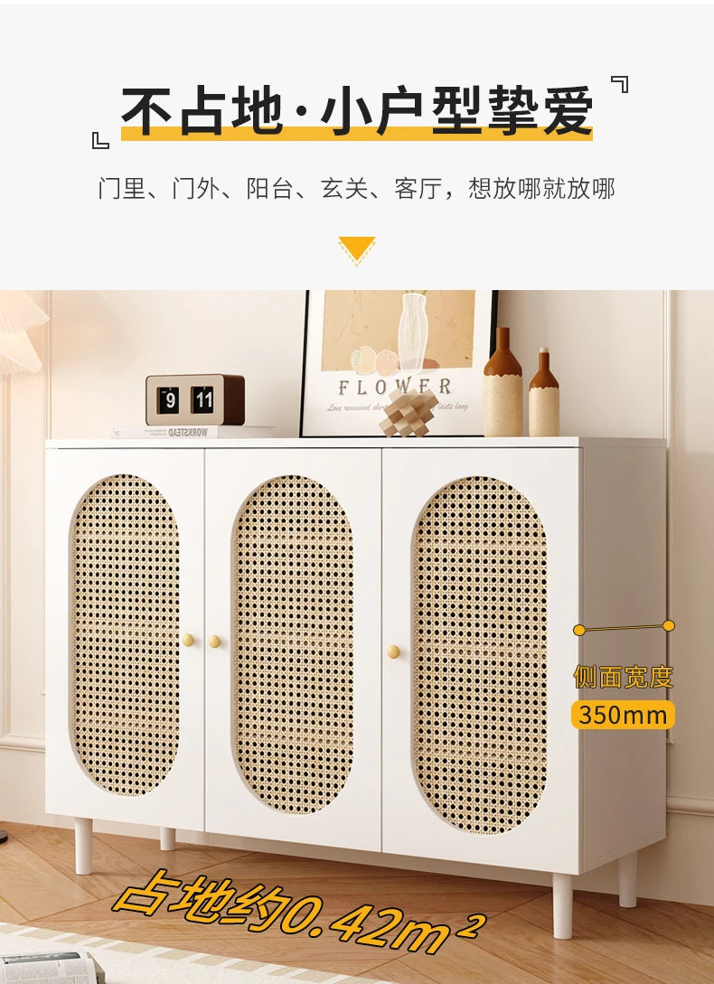 Nordic Wooden Shoe Cabinet Organizer Designer Italian Minimalist Shoe Shelf Vertical Modern Hallway Gabinete Entrance Furniture - Buy online at  Vibe In Cart.