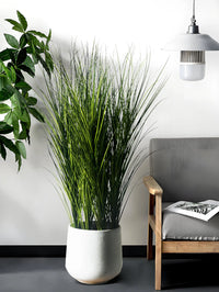 Artificial Reed Grass Large Fake Onion Grass Plants Tropical Green Plants Leaves Bouquet PVC Grass For Wedding Garden Offic - Buy online at  Vibe In Cart.