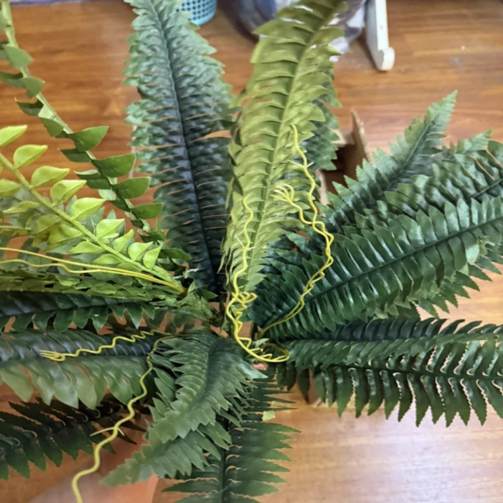 Realistic Boston Ferns 57cm/67cm Artificial Boston Fern Plants 38 Leaves UV Resistant Fake Ferns Greenery for Door Porch Decors - Buy online at  Vibe In Cart.