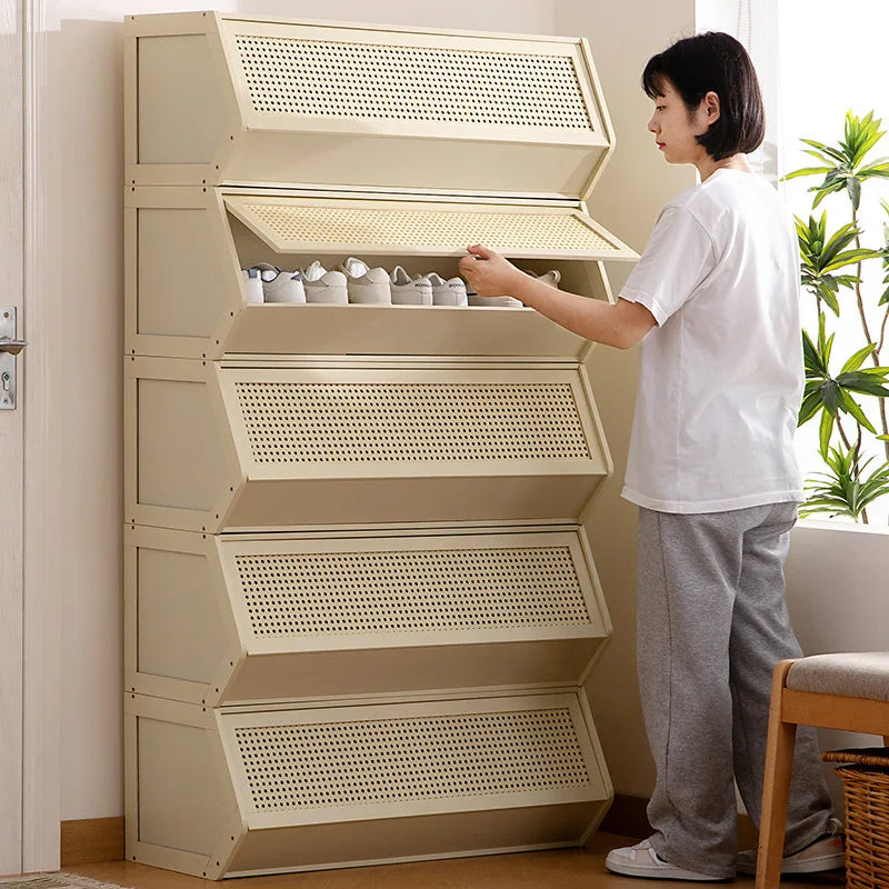 Simple shoe cabinet Household multi-functional free combination storage cabinet Shoe rack Multi-layer with door dust-proof shoe - Buy online at  Vibe In Cart.