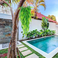 Artificial Fern Grass Persian Leaves Hanging Vines Simulation Greenery Home Decor Lifelike Indoor Plants Wall Room Decoration - Buy online at  Vibe In Cart.