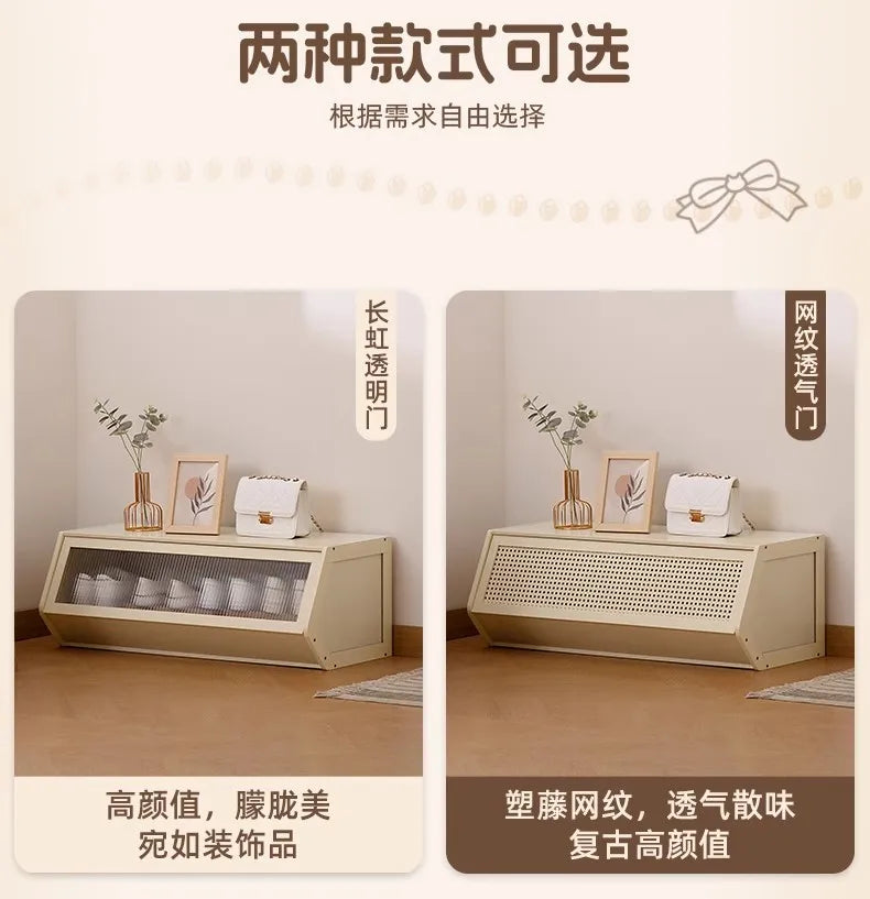 Multi-Layer Shoe Cabinet with Door for Dust-Proof Storage