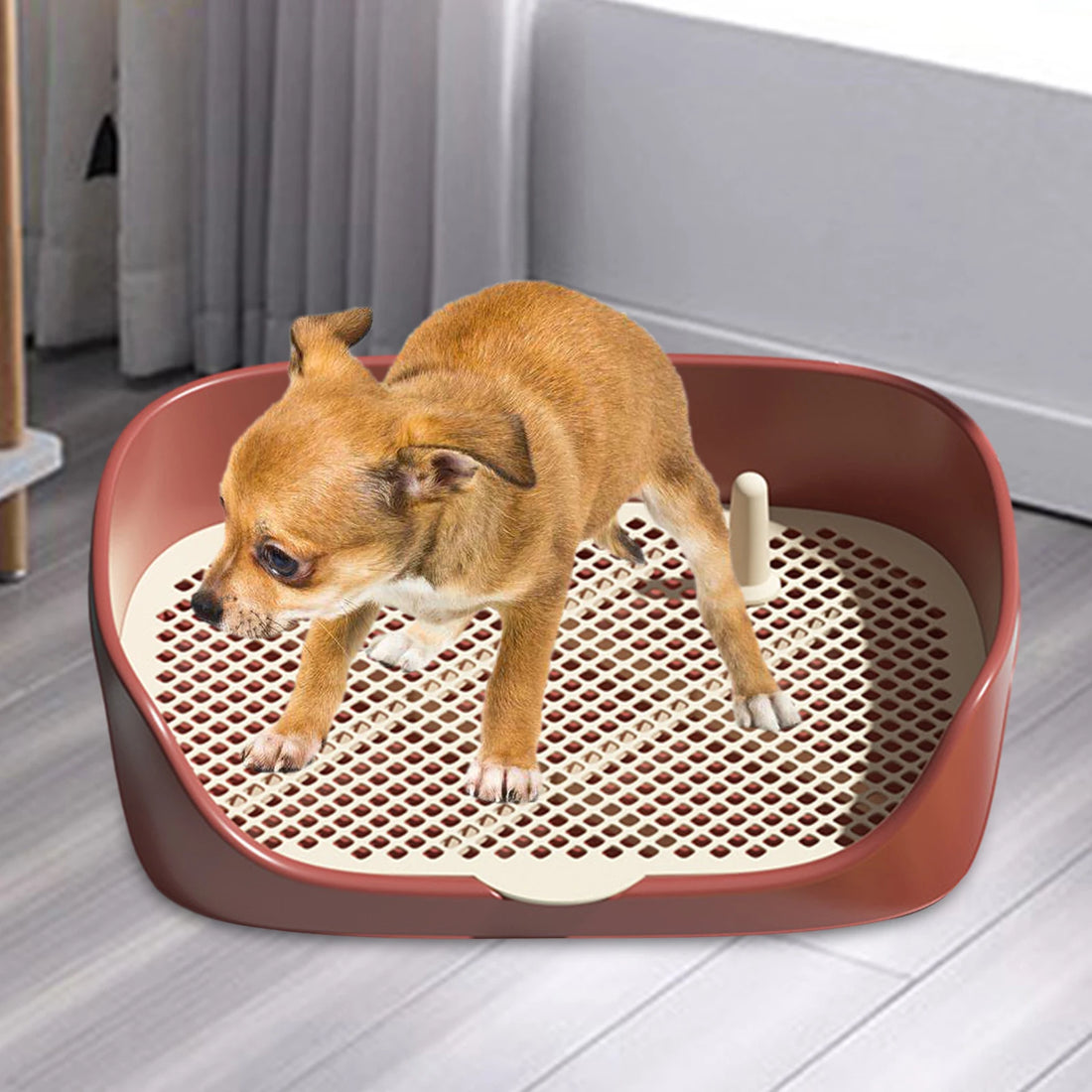 Pet Dog Toilet Portable Dog Potty Pan Trainer Litter Box Anti-Splash Pets Wc Toilet Puppy Kitten Cleaning Tool - Buy online at  Vibe In Cart.