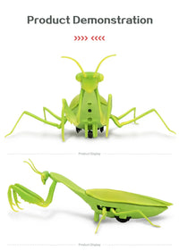 Infrared Remote Control Mini Mantis Insect Simulation Toy