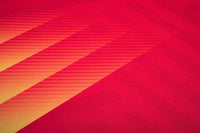 Unisex Polyester Spandex Soccer Jersey And Shorts Set