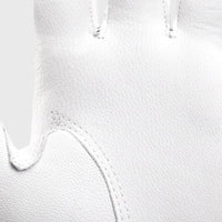 Golf Glove for Left Handed Mitten Nonslip Sports Portable Golfer Gift Accessory Wear Resistant Simple Golf Training Practice - Buy online at  Vibe In Cart.