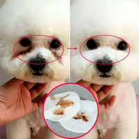 130 Pcs/set of Dog and Cat Cleaning Wipes Pet Eye Wipes Grooming Tear Stain Remover Gentle Non-foaming Wipes Towels - Buy online at  Vibe In Cart.