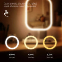NEW 3 Colors Dimmable Lights Rechargeable LED Vanity Mirror Touch Control Makeup Mirror for Home Travel Portable Cosmetic - Buy online at  Vibe In Cart.