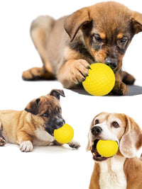 2~10pcs Golf Balls Yellow PU Foam Sponge Elastic Indoor Outdoor Practice Training Durable for Sports Accessories TMZ - Buy online at  Vibe In Cart.