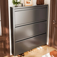 Slim Steel Shoe Cabinet Ultra Thin Shoe Storage Rack Shoe Organizer Entryway Hallway Narrow Space Saving Flip Door Storage Rack - Buy online at  Vibe In Cart.