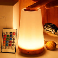 13 Color Changing Night Light Remote Control Touch USB Rechargeable RGB Night Lamp Dimmable Lamp Portable Table Bedside Lamp - Buy online at  Vibe In Cart.
