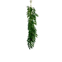 Home Wall Decoration Encryption Green Plant Simulation Willow Leaf Wisteria Strip Pendant Simulation Eucalyptus Pendant - Buy online at  Vibe In Cart.