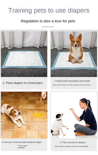 Super Absorbent Pet Paper Urine Pad Dog Training Paper Urine Pad Disposable Healthy Paper Urine Pad Cat and Dog Quick Drying - Buy online at  Vibe In Cart.