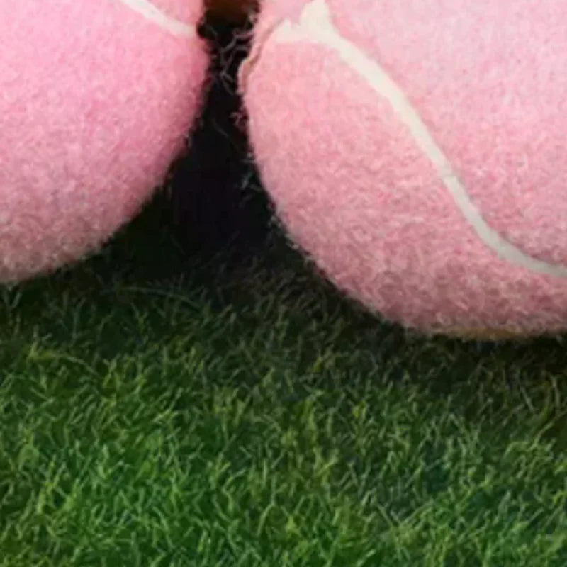 1/3Pcs Tennis Balls Wear-Resistant Highly Elastic Training Balls 65MM Ladies Beginners Durable Practice Tennis Ball For Club - Buy online at  Vibe In Cart.