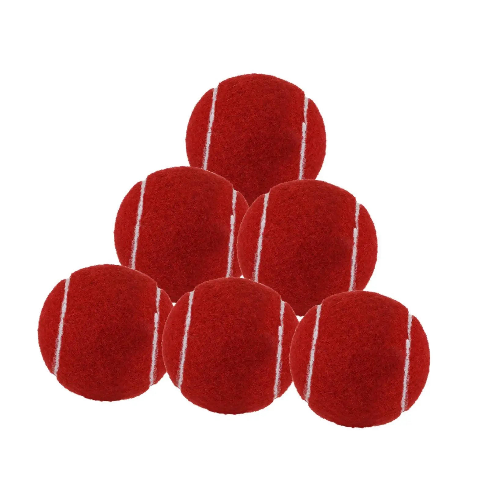 6Pcs Tennis Balls Practicing Pet Dog Tennis Balls Training Balls for Games Playing with Dogs Indoor Tennis Enthusiasts Sports - Buy online at  Vibe In Cart.