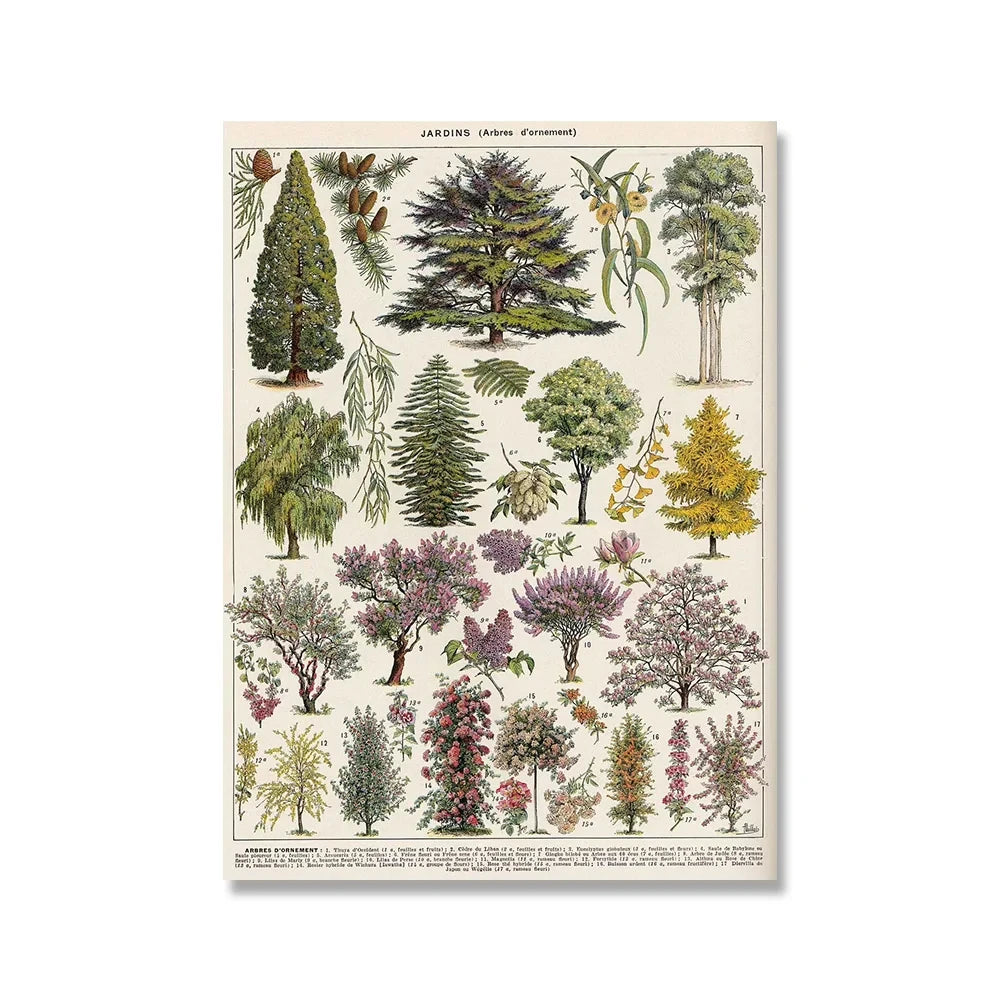 Vintage Adolphe Millot Encyclopedia Posters and Prints Botanical Mushrooms Herbs Flowers Insect Canvas Paintings Wall Art Decor - Buy online at  Vibe In Cart.