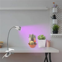 EU US Plug 360 Degrees Flexible Desk Lamp Holder E27 Base Light Socket Gooseneck Clip-On Cable With On Off Switch for Home Plant - Buy online at  Vibe In Cart.