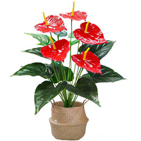 53cm Artificial Monstera Leaves Home Plastic Palm Fronds Fake Anthurium Greenery Tree Big Herb Plant For Garden Outdoor Decor - Buy online at  Vibe In Cart.