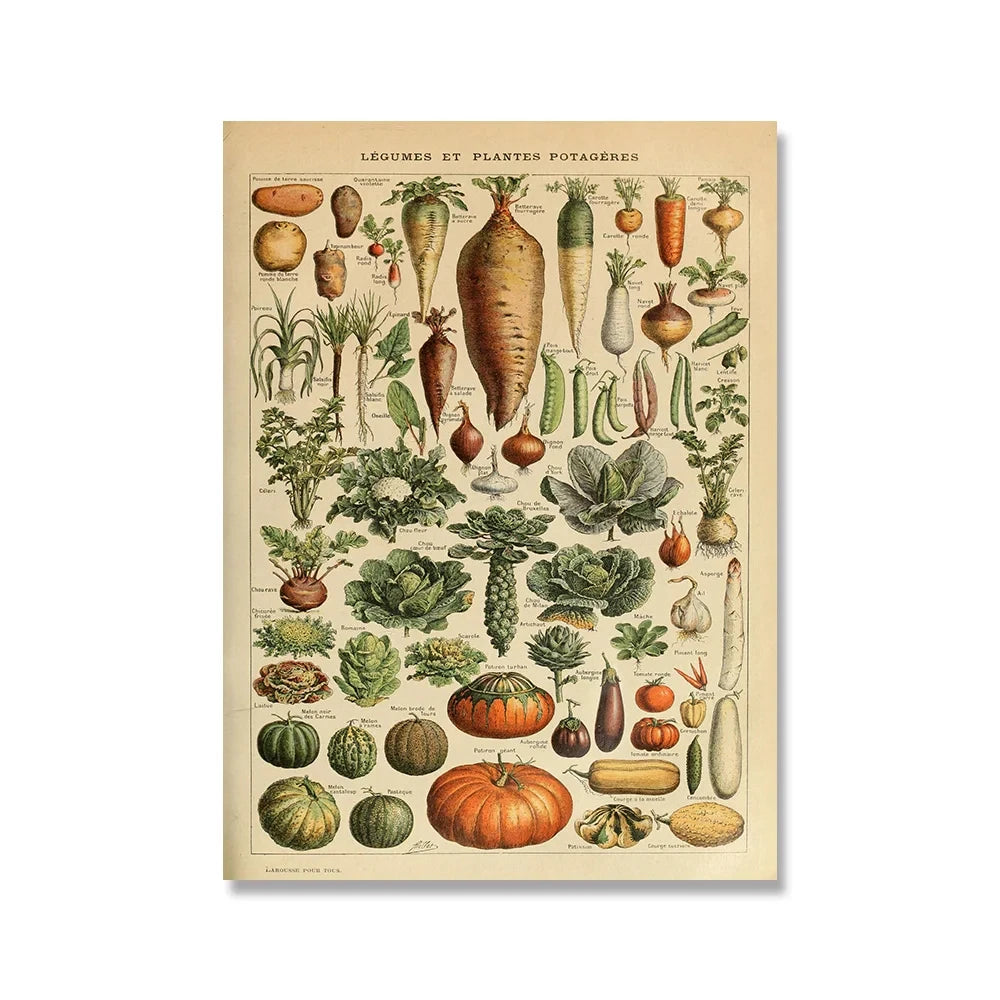 Vintage Adolphe Millot Encyclopedia Posters and Prints Botanical Mushrooms Herbs Flowers Insect Canvas Paintings Wall Art Decor - Buy online at  Vibe In Cart.