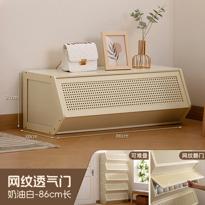 Multi-Layer Shoe Cabinet with Door for Dust-Proof Storage
