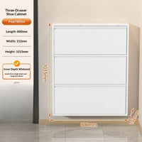 Slim Steel Shoe Cabinet with Flip Doors and Thin Design