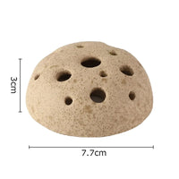 Medium Modern Ceramic Lotus Seedpod Vase for Floral Arrangement