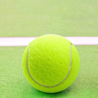 10pcs Tennis Balls With Mesh Carry Bag Practice Ball High Elasticity Pet Dog Playing Balls Outdoor Sports For Tennis Training - Buy online at  Vibe In Cart.