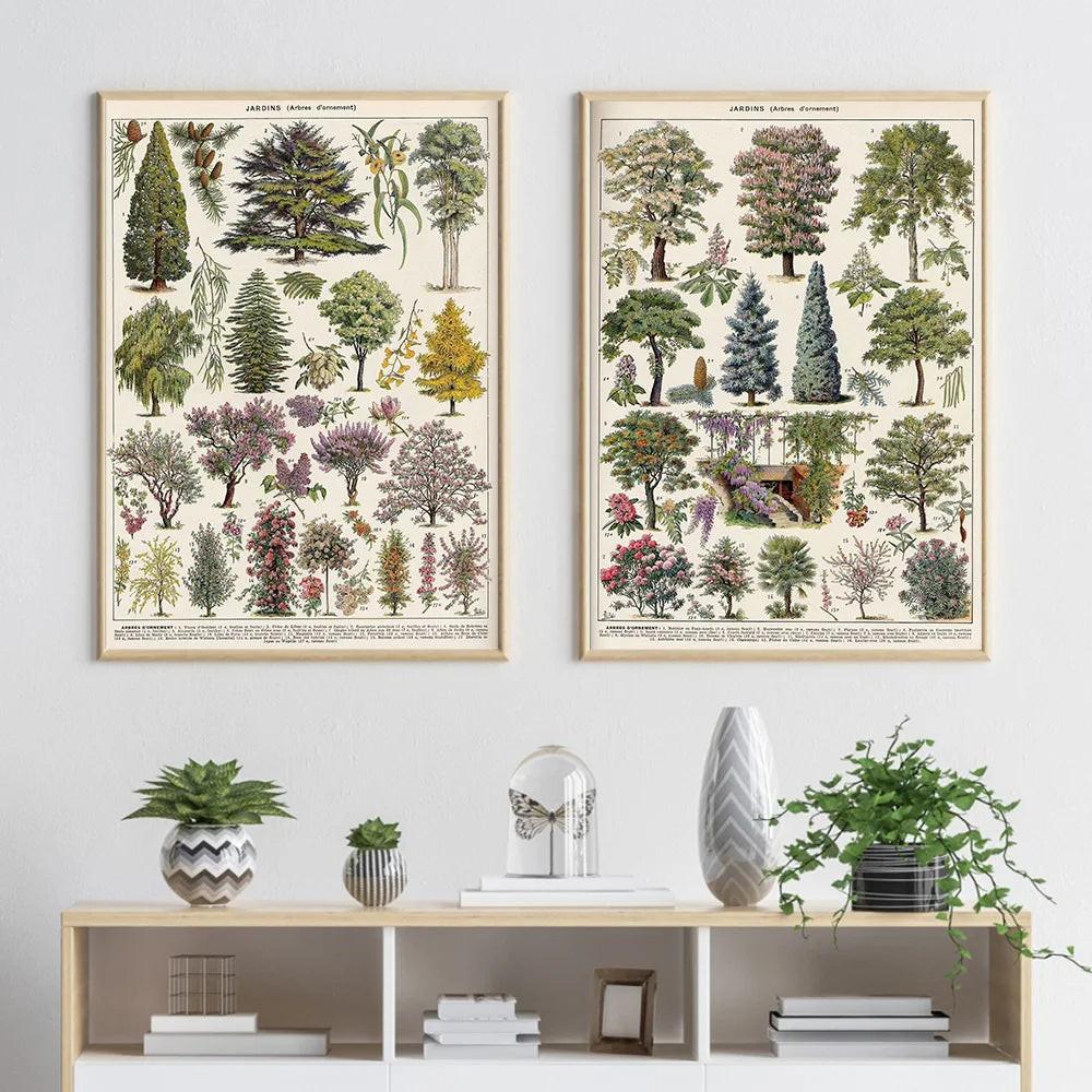 Vintage Adolphe Millot Encyclopedia Posters and Prints Botanical Mushrooms Herbs Flowers Insect Canvas Paintings Wall Art Decor - Buy online at  Vibe In Cart.