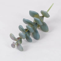 Artificial Succulent Plant Green PVC One Piece Desktop Ornament