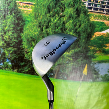 Right Handed Golf Putter with Steel Shaft and Graphite Head