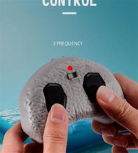 Remote Control Walking Dinosaur Toy for Ages 6-12 Years