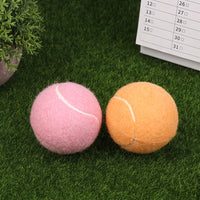 1/3Pcs 65MM Ladies Beginners Durable Practice Tennis Ball Tennis Balls Wear-Resistant Highly Elastic Training Balls For Club - Buy online at  Vibe In Cart.
