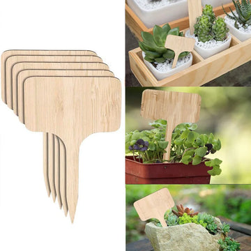 10/20/30PCS Garden Marker Plant Identification Cards Garden Labels Plant Sign Tags Markers for Plants ZWBQP01 - Buy online at  Vibe In Cart.