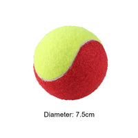 1/6 Pcs Practice Tennis Ball Squishy Practice Baseballs Rubber Baseballs Hitting Replacement Balls for Kids Teenager Players - Buy online at  Vibe In Cart.