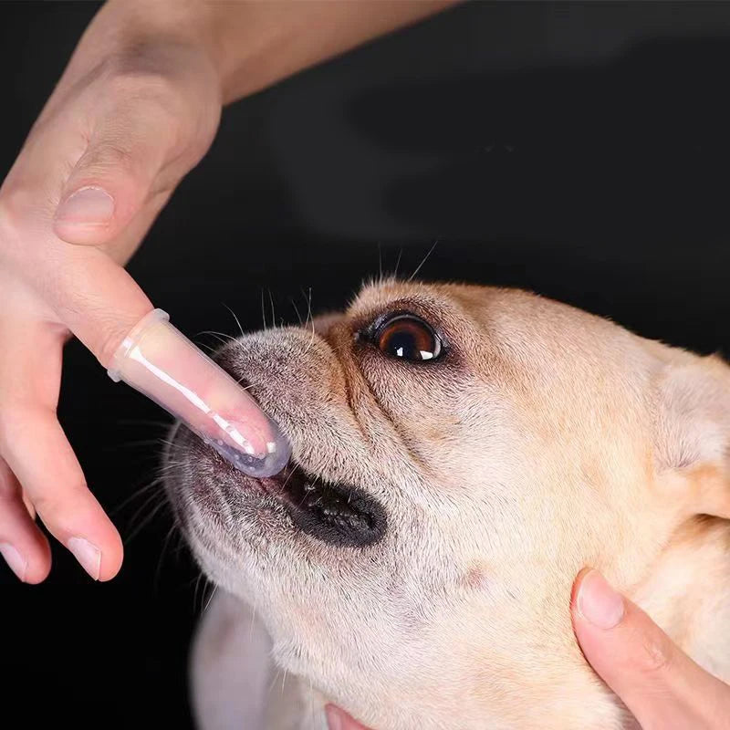 Silicone Soft Pet Finger Cuff Toothbrushes Dog Brush Bad Breath Tartar Teeth Care Tool Cat Cleaning Scrub Silicagel Pet Supplies - Buy online at  Vibe In Cart.