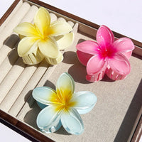 1/2/3 Pcs Hawaiian Gradient Flower Hair Claw Clip Women Fashion Large Hair Clip Girls Hairpin Barrettes Bohemia Hair Accessories - Buy online at  Vibe In Cart.