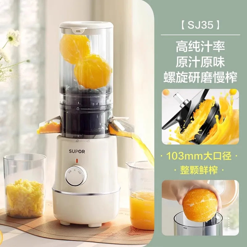 Stainless Steel Spiral Juicer with Automatic Pulp Ejection, 500-1000ml Capacity