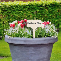 10/20/30PCS Garden Marker Plant Identification Cards Garden Labels Plant Sign Tags Markers for Plants ZWBQP01 - Buy online at  Vibe In Cart.