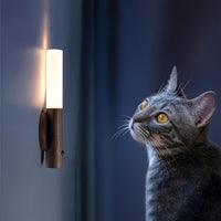 2 PCS Intelligent Rechargeable Magnetic Sensor USB LED Night Light - Human Body Sensor Wall and Cordless Wall Light for Motion Detection, Suitable for Home Bedroom, Kitchen and Bathroom Wall Sensor Light, Anti-collision and A - Buy online at  Vibe In Cart.