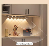 [LED Sensor Strip Light] Modern LED Human Body Sensor Strip Light, Wireless Rechargeable Magnetic Tape, Suitable for Shoe Cabinets, Display Cabinets, Wardrobes, Cabinets, No Wiring Needed - Buy online at  Vibe In Cart.