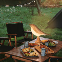 1pc Bird Night Light, 16-Color Dimmable Cordless Desk Lamp, 1800mAh Battery USB Rechargeable Touch Dimmer Magpie Lamp, Bedroom Aromatherapy With Diffuser Function, Suitable For Halloween, Christmas Gifts, Festive Presents (Th - Buy online at  Vibe In Cart.